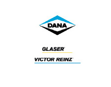 logo dana